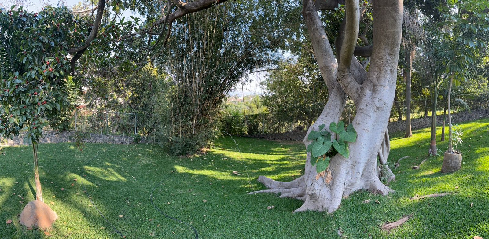 Cuernavaca - Casas Brabur (24)