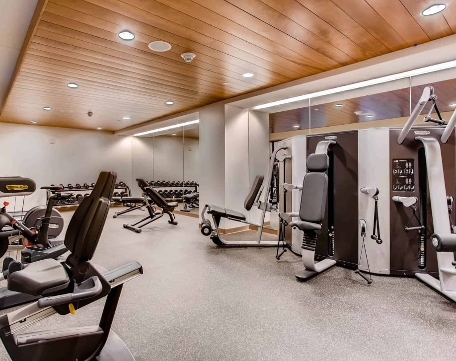 The Lion At Vail - Casas Brabur (6)